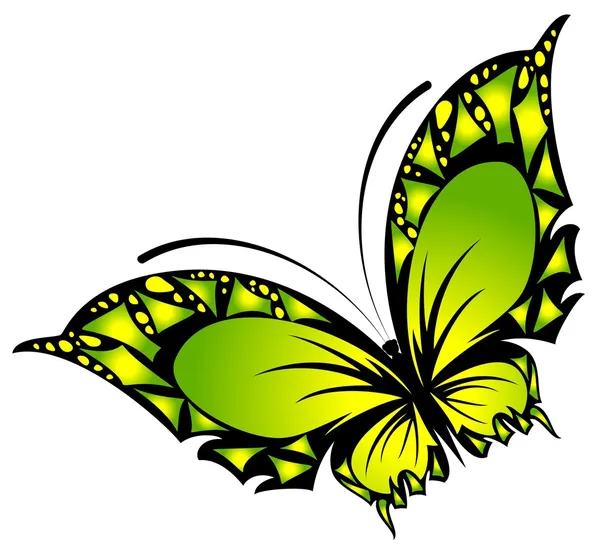 Der schöne Schmetterling — Stockvektor