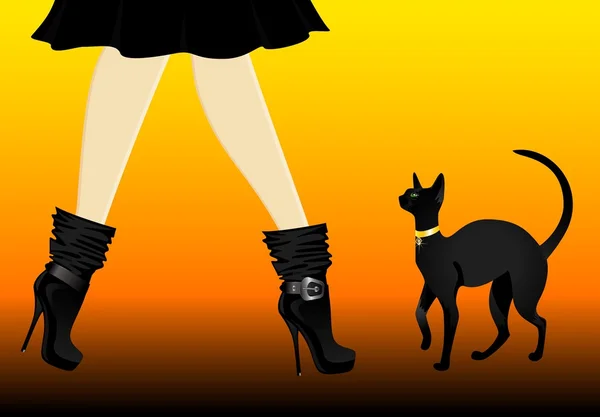 Beautiful womanish legs in black shoes with cat — Stock Vector