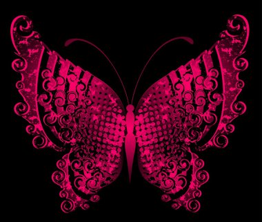 Beautiful tropical butterfly clipart