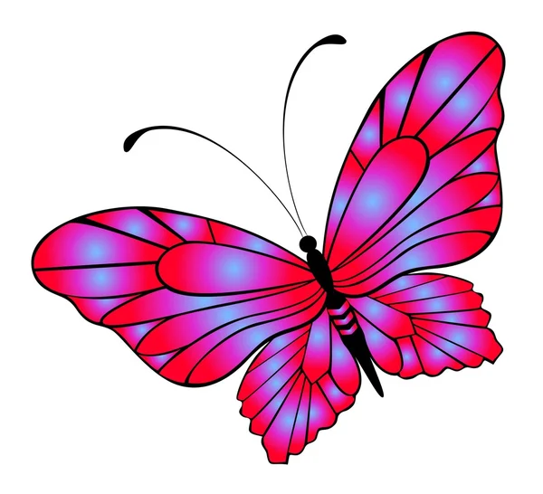 Красивая бабочка для дизайна — стоковый вектор