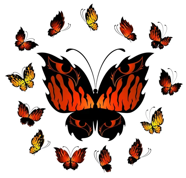 Bela borboleta tropical — Vetor de Stock