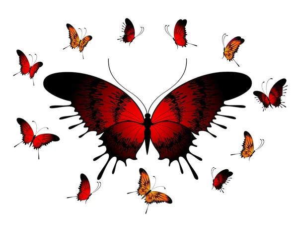 Piękny motyl do projektu — Wektor stockowy