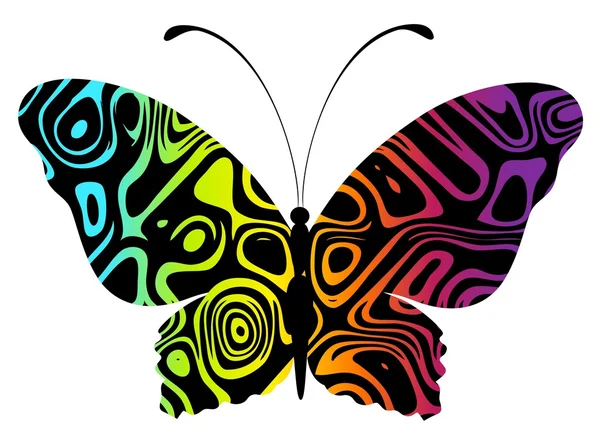 Beautiful butterfly for a design — Stock Vector