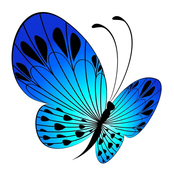 Bella farfalla per un design — Vettoriale Stock