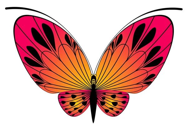 Bir tasarım güzel kelebek — Stok Vektör