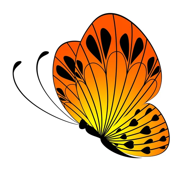 Schöner Schmetterling für ein Design — Stockvektor