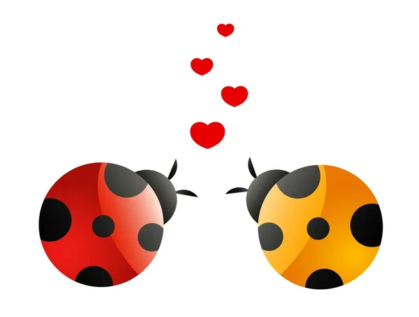 2 사랑 ladybirds는 흰색 바탕에 — 스톡 벡터