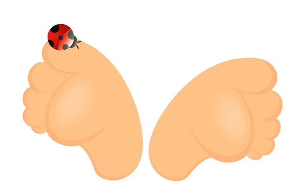 Funny ludicrous feet with a ladybird on a white background — Stock Vector