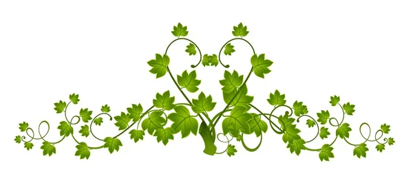 Hermoso marco decorativo de hojas para el diseño — Vector de stock