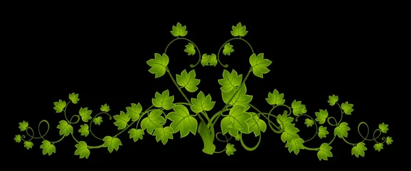 Красивые декоративные рамки из листьев для дизайна — стоковый вектор