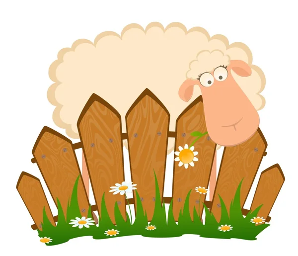 Karikatur lächelnder Schafe nach einem Zaun — Stockvektor