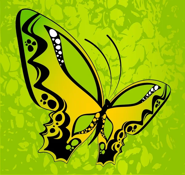 एक डिजाइन के लिए सुंदर तितली — स्टॉक वेक्टर