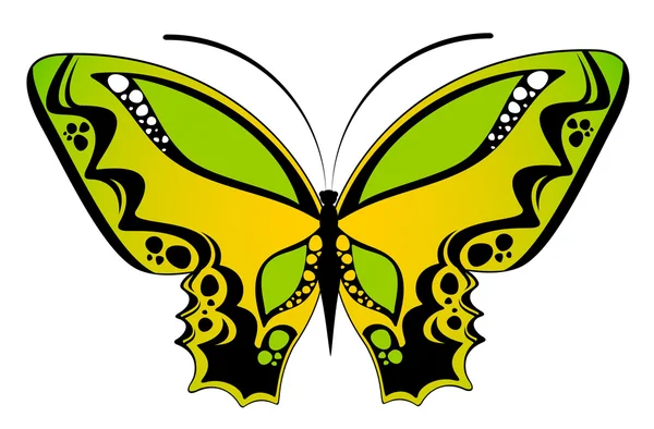 Hermosa mariposa sobre un fondo blanco — Archivo Imágenes Vectoriales