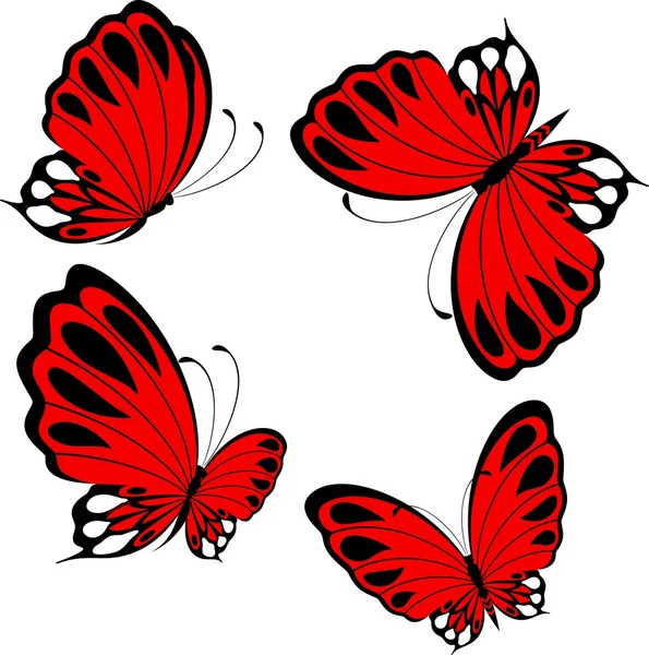 Bela borboleta em um fundo branco — Vetor de Stock
