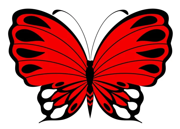 Mooie vlinder op een witte achtergrond — Stockvector