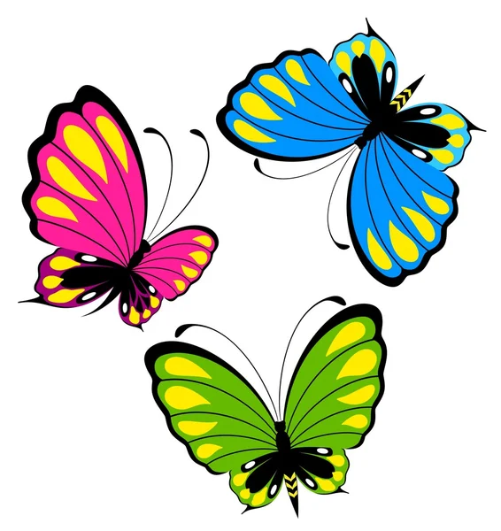 Красивая бабочка на белом фоне — стоковый вектор