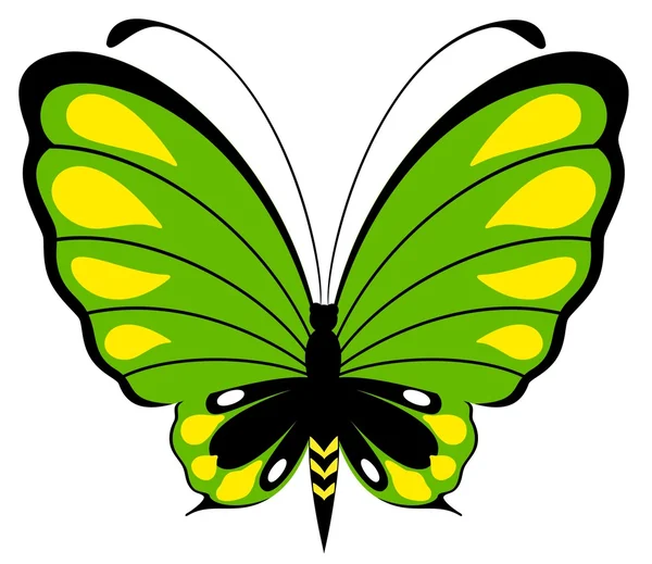 Όμορφη πεταλούδα σε λευκό φόντο — Διανυσματικό Αρχείο