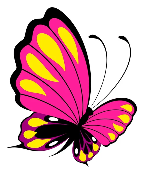 Bella farfalla su uno sfondo bianco — Vettoriale Stock