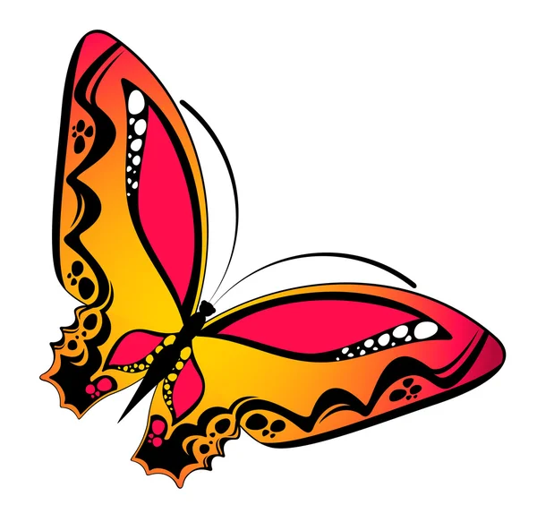 Beau papillon sur fond blanc — Image vectorielle