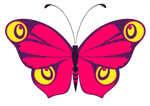 Beau papillon sur fond blanc — Image vectorielle