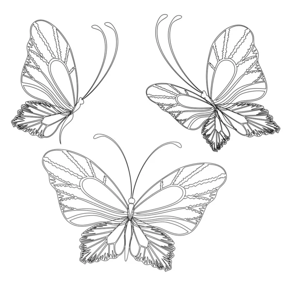 एक डिजाइन के लिए सुंदर तितली — स्टॉक वेक्टर