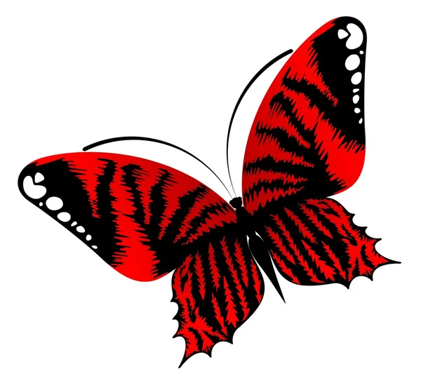 Güzel kelebek — Stok Vektör