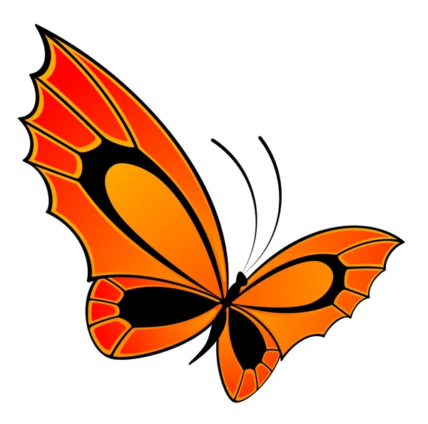 Vacker fjäril — Stock vektor