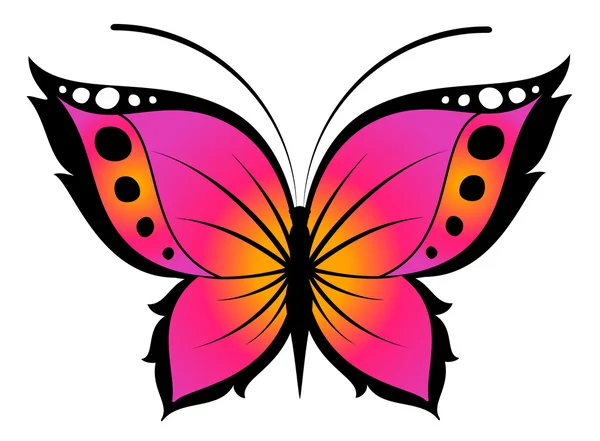 The beautiful butterfly — Stock Vector
