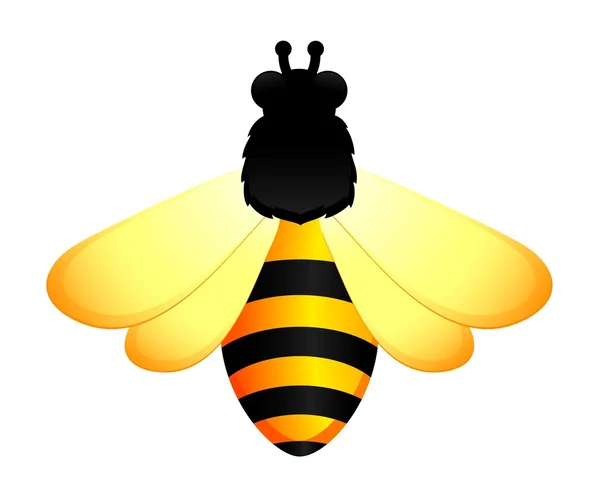Beyaz zemin üzerinde komik arı — Stok Vektör