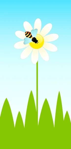 Lustige Biene und Kamille — Stockvektor