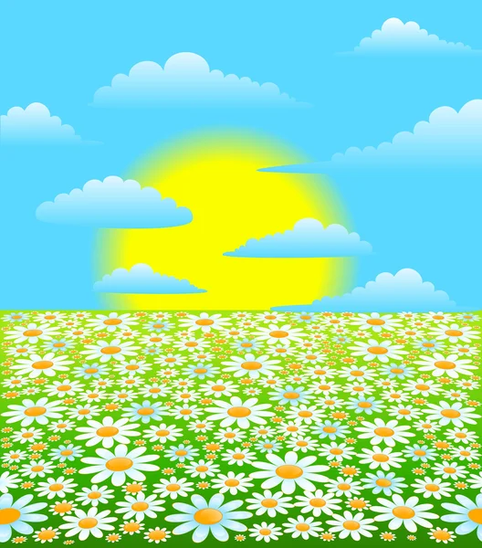 Bir gökyüzü üzerinde güzel beyaz chamomiles — Stok Vektör