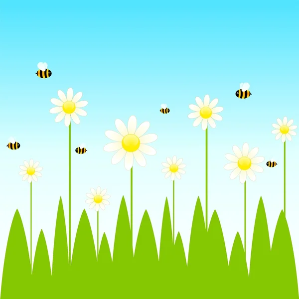 Piękne jasne tło zabawny pszczół i rumianek — Wektor stockowy