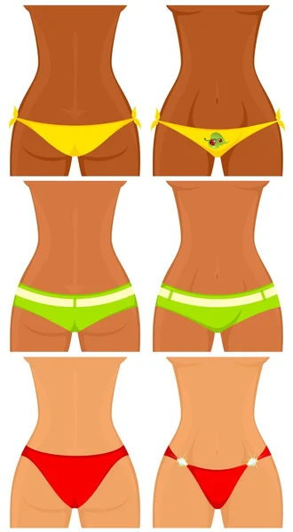 Sexy womanish thighs are in Bikini — Stock Vector