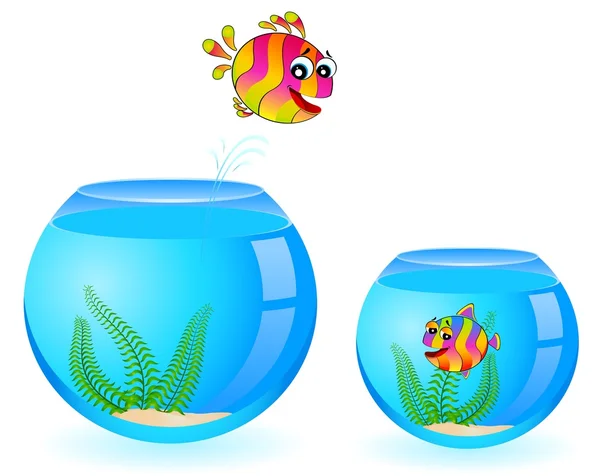 Little colorful tropical fish in aquarium — Stock Vector