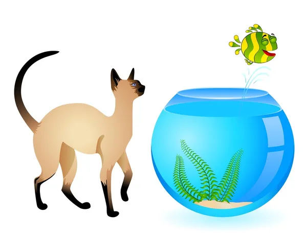Cartoon-Katze mit kleinen bunten tropischen Fischen im Aquarium — Stockvektor
