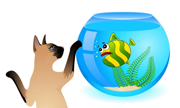 在水族馆中的小小七彩热带鱼的卡通猫 — 图库矢量图片