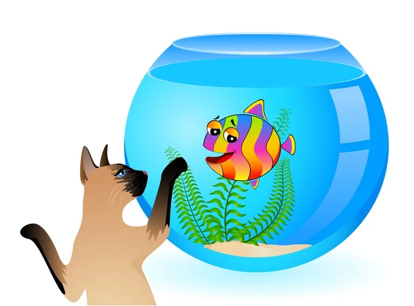 Gato de dibujos animados con pequeños peces tropicales coloridos en el acuario — Vector de stock