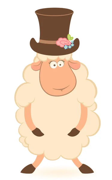 Vector Cartoon noivo ovelhas no fundo branco — Vetor de Stock