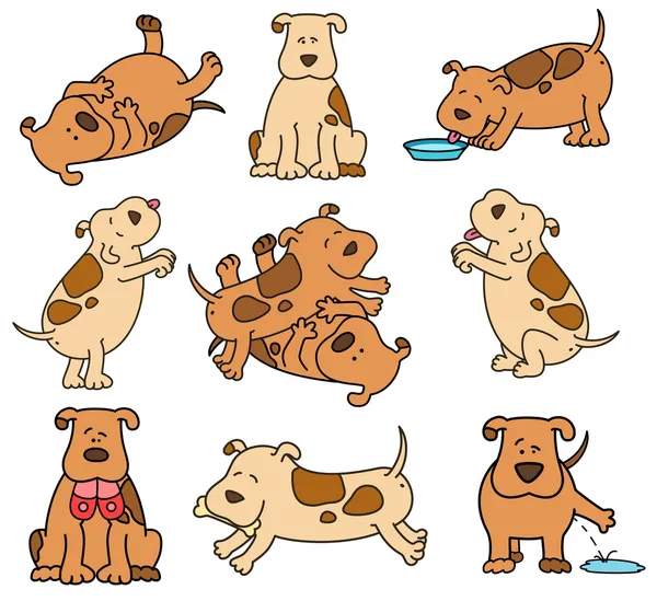 Készlet-ból kutyák rajzfilm — Stock Vector