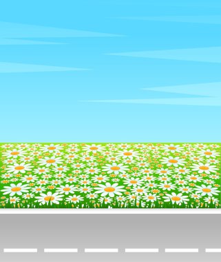 Out-of-town asphaltic road on a background the field with camomiles clipart