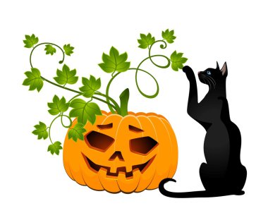 kedi Halloween kabak oyma yüzü