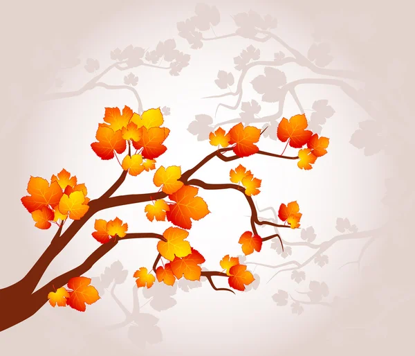 Arrière-plan avec arbre automnal avec feuilles . — Image vectorielle