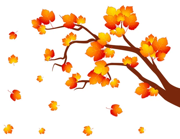 Φόντο με το Φθινοπωρινό δέντρο με φύλλα. — Διανυσματικό Αρχείο