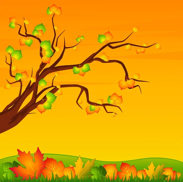 与秋树用树叶背景 — 图库矢量图片