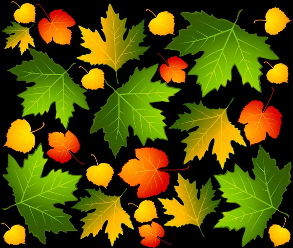与秋季树叶背景. — 图库矢量图片