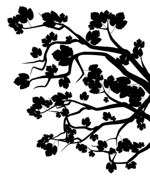 Φόντο με το Φθινοπωρινό δέντρο με φύλλα — Διανυσματικό Αρχείο