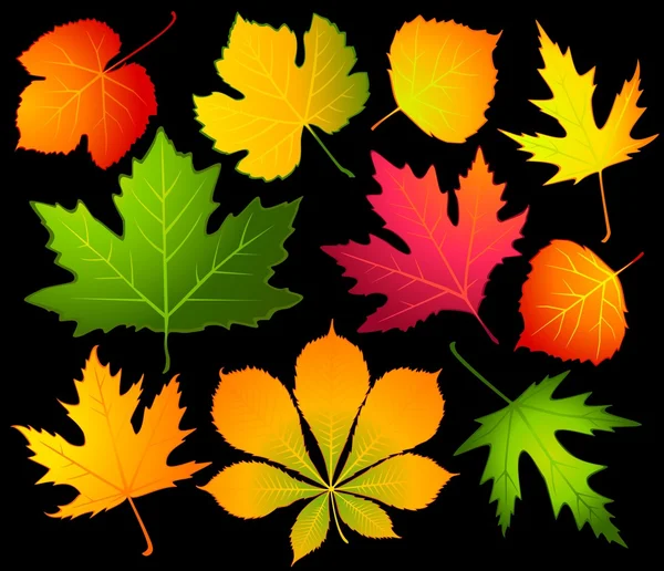 Black background with autumnal leave. Vector. — Stock Vector