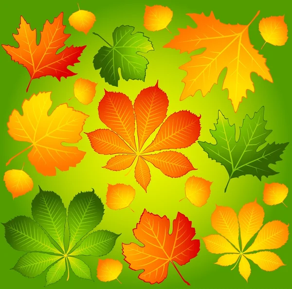 Background with autumnal leaves. — Stock Vector