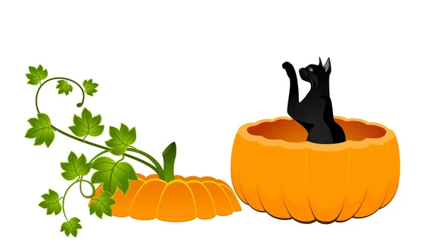 The carved face of pumpkin with cat on Halloween — Stock Vector