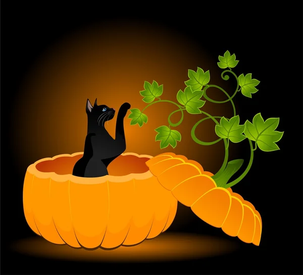A faragott arc-macska a Halloween sütőtök — Stock Vector
